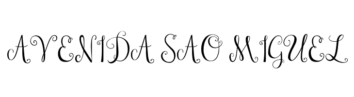 Janda Stylish Monogram  Free Fonts Download