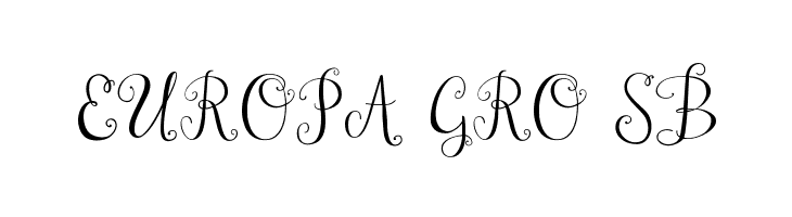 Janda Stylish Monogram  Free Fonts Download