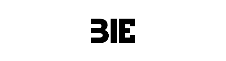 GeniusMarksBold  Free Fonts Download