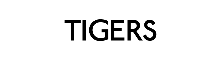 Paddington  Free Fonts Download