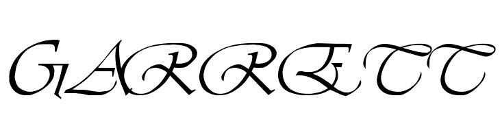 LDS Script Italic  Free Fonts Download