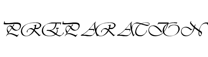 LDS Script Italic  Free Fonts Download