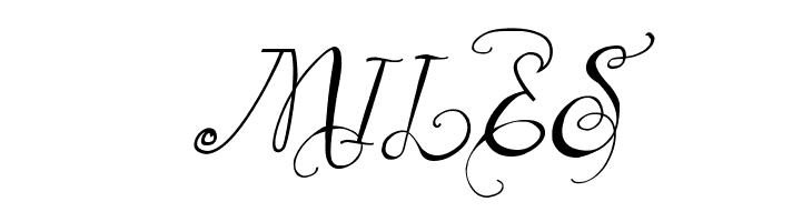 Vtks Belinha  Free Fonts Download