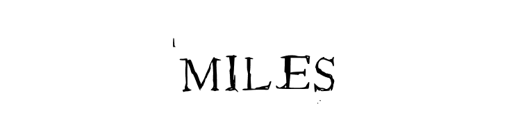 Roman New Times Medium  Free Fonts Download