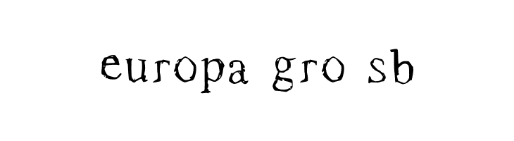Roman New Times Medium  Free Fonts Download