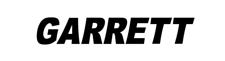 OMNIBLACK Italic  Free Fonts Download