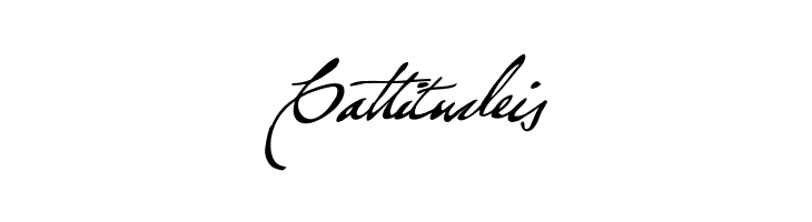 Brev Script Personal Use  Free Fonts Download