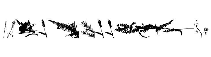 Floral Flush  Free Fonts Download