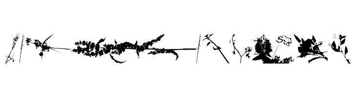 Floral Flush  Free Fonts Download