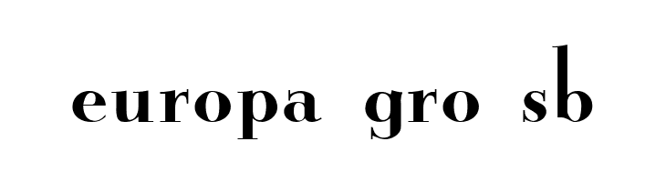 New Yorker  Free Fonts Download