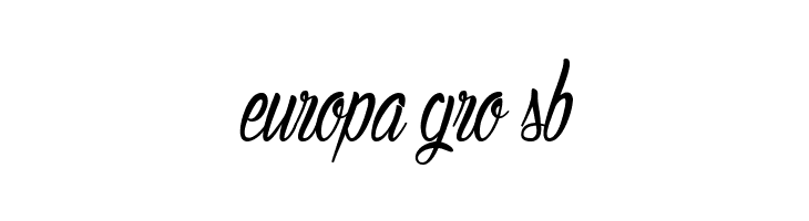 AuthenticHilton  Free Fonts Download