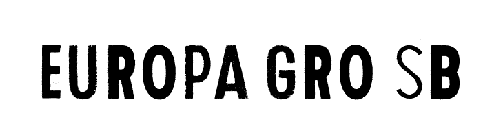Human Error Echo  Free Fonts Download