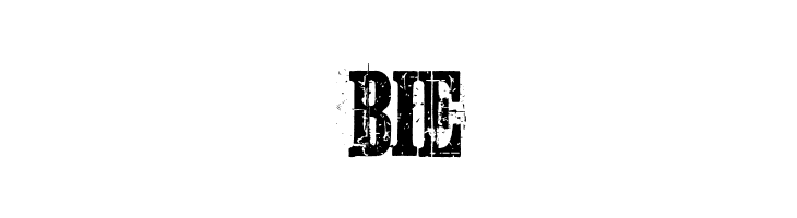 Schkorycza  Free Fonts Download