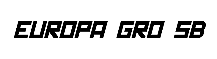 Politik Italic  Free Fonts Download