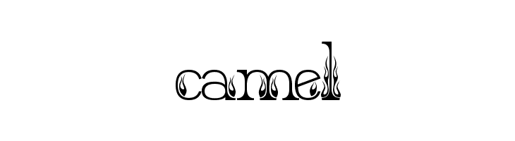 Hot Secretary  Free Fonts Download