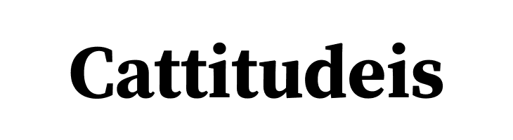 Source Serif Pro Bold  Free Fonts Download