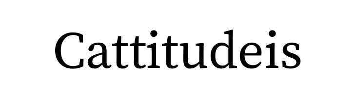 Source Serif Pro Regular  Free Fonts Download