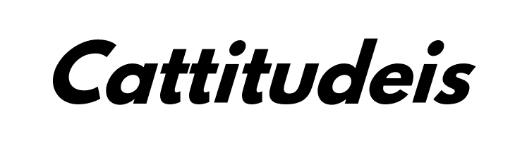 Hussar Bold Italic  Free Fonts Download