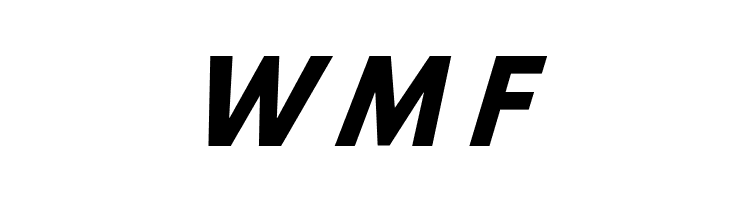 Hussar Bold Italic  Free Fonts Download