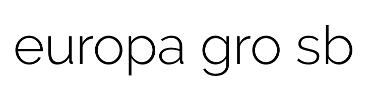 Raleway Light  Free Fonts Download