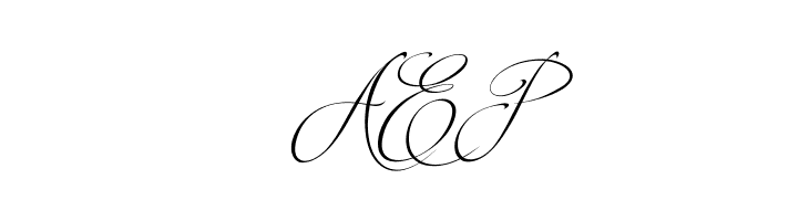 Brotherhood Script  Free Fonts Download