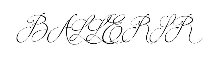 Brotherhood Script  Free Fonts Download