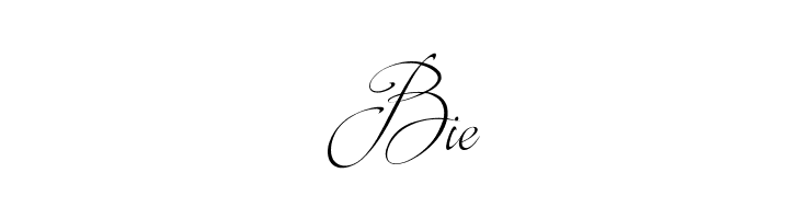 Brotherhood Script  Free Fonts Download