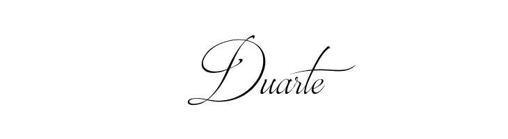 Brotherhood Script  Free Fonts Download