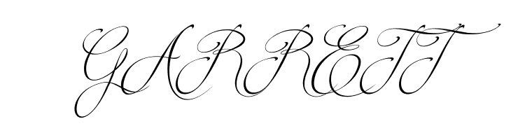 Brotherhood Script  Free Fonts Download