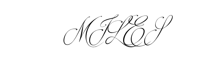 Brotherhood Script  Free Fonts Download