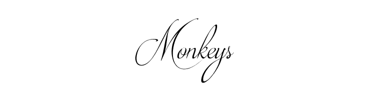 Brotherhood Script  Free Fonts Download