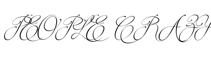 Brotherhood Script  Free Fonts Download