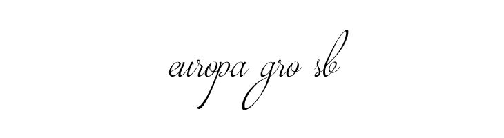 Brotherhood Script  Free Fonts Download