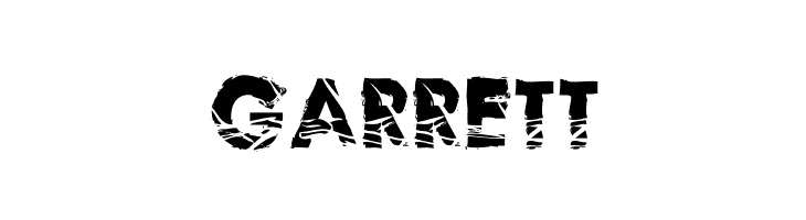 NoHardEvidence  Free Fonts Download