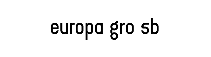 WLM Road Sans Regular  Free Fonts Download