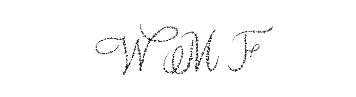 Yore script  Free Fonts Download