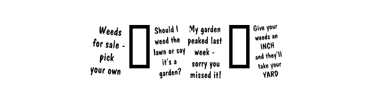 KR Gardenz  Free Fonts Download