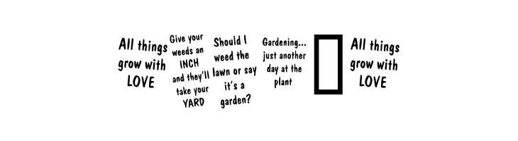 KR Gardenz  Free Fonts Download