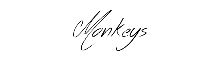 Across the Road  Free Fonts Download