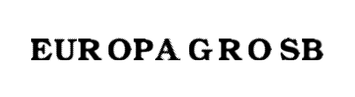 Amin_Sleazy  Free Fonts Download