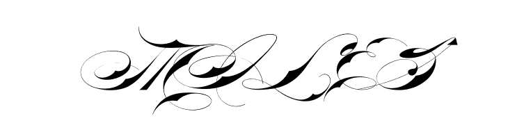 Bradstone-Parker Script Limited Free Version  Free Fonts Download