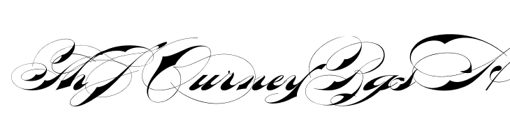 Bradstone-Parker Script Limited Free Version  Free Fonts Download
