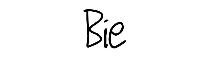 Secret Diary  Free Fonts Download