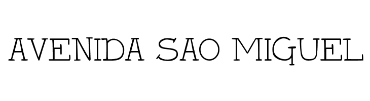 DJB Holly Serif  Free Fonts Download