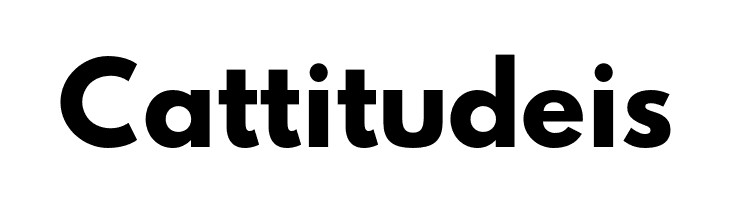 Hussar Bold Web Edition  Free Fonts Download