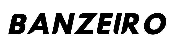 Hussar Nova ExtraBold Italic  Free Fonts Download