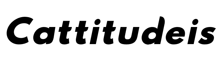 Hussar Nova ExtraBold Italic  Free Fonts Download