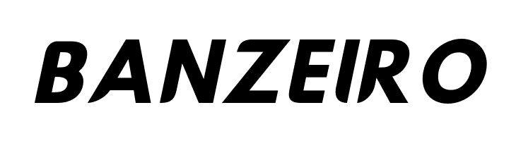 Hussar Nova Bold Italic  Free Fonts Download