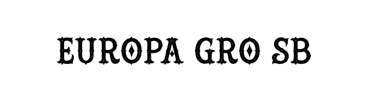 HustlersRoughDemo  Free Fonts Download