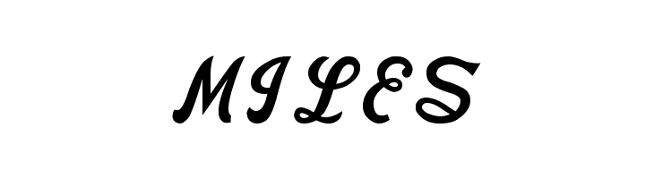 Nike Script  Free Fonts Download